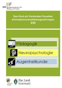 CVI verstehen