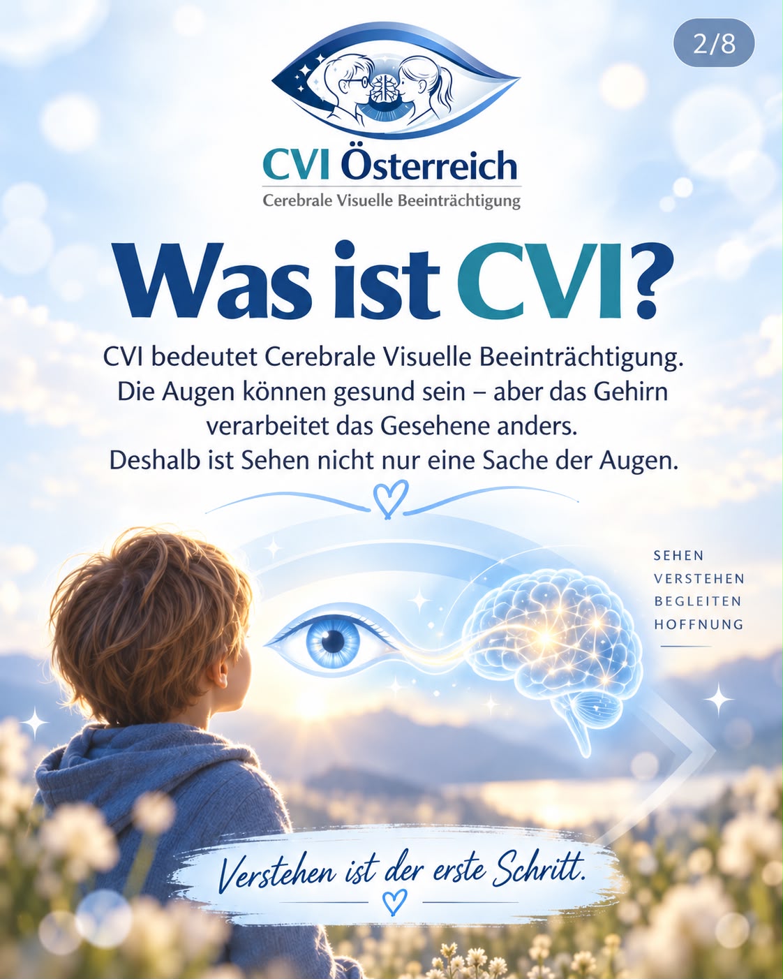 Was ist CVI
